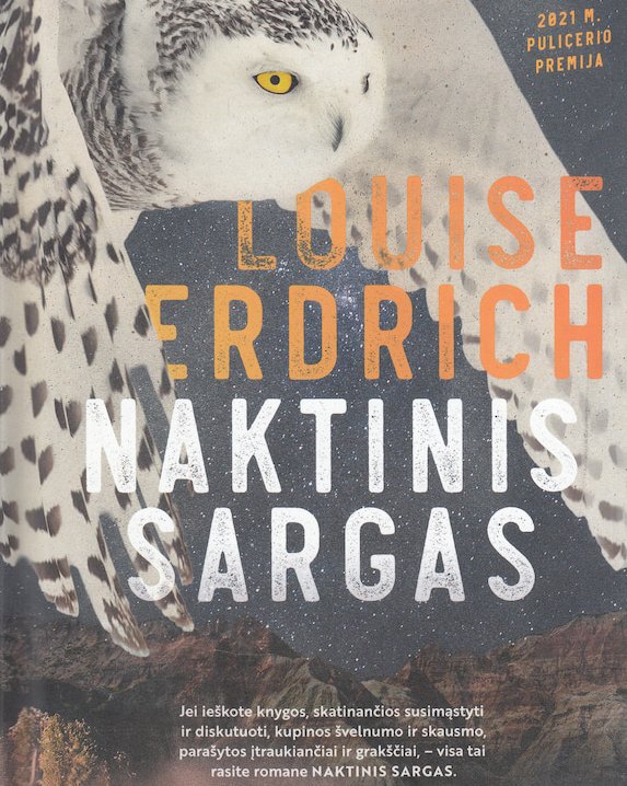 Naktinis sargas