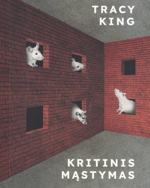 Kritinis mąstymas