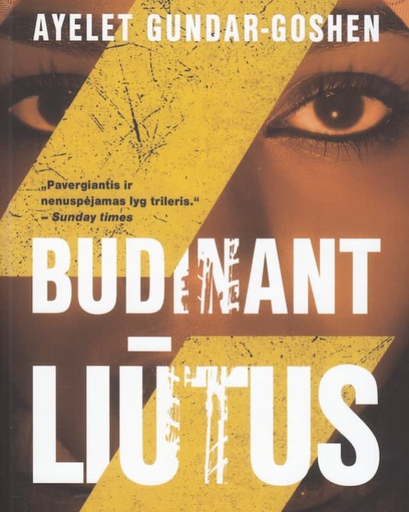 Budinant liūtus