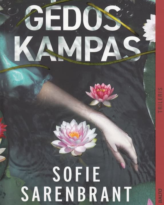 Gėdos kampas