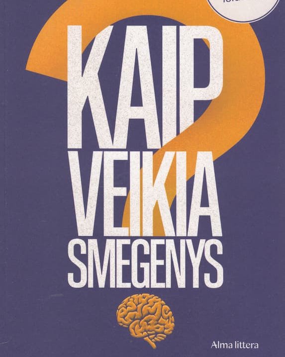 Kaip veikia smegenys