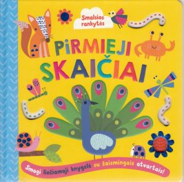 Smalsios rankytės. Pirmieji skaičiai
